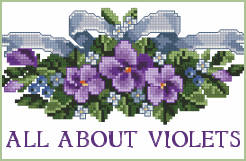 All About Violets