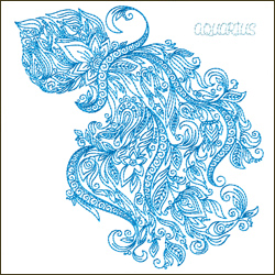 Zodiac Sign - Aquarius