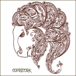 Zodiac Sign - Capricorn