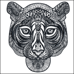 Tiger Face