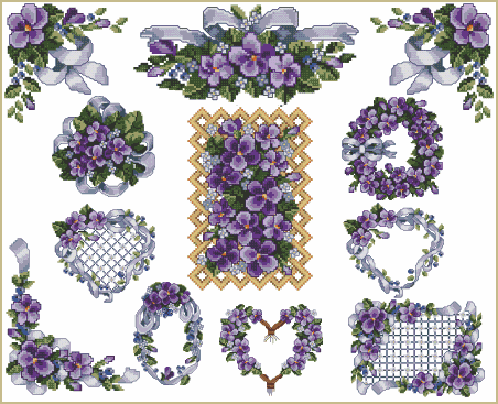 All About Violets