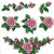 Roses Allure Set 2