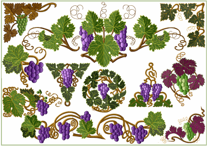 Grape Vines