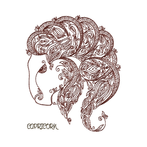 Zodiac Sign - Capricorn