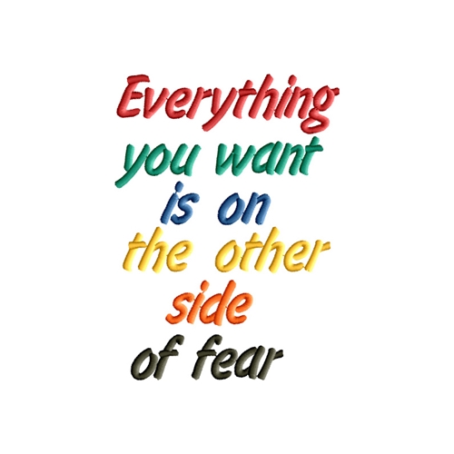 Everything You Want is on the Other Side of the Fear