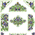 Iris Lace