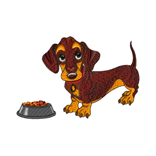 Puppy Dachshund